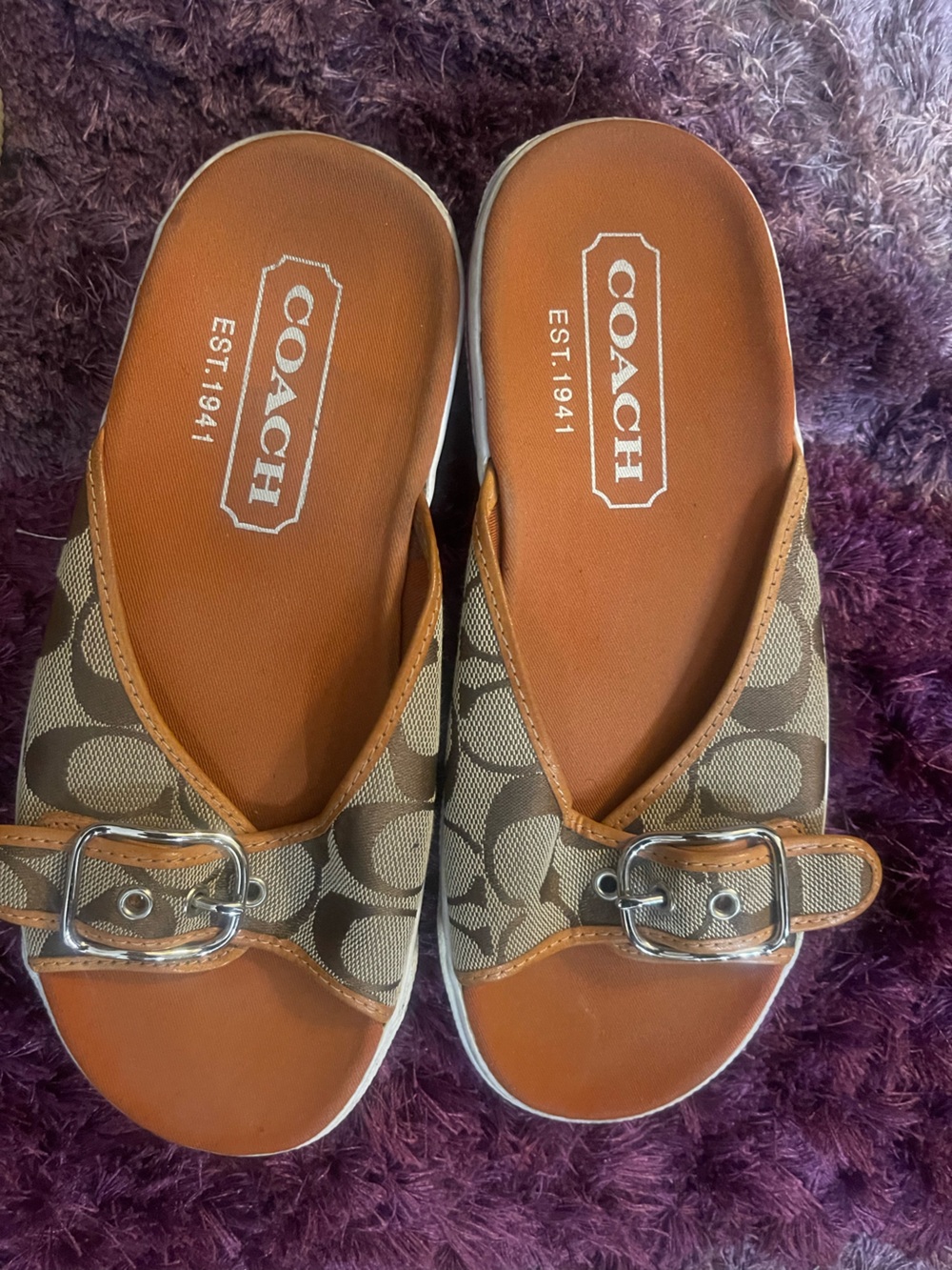 Coach Signature Buckle Slide Sandal Women's Signature Buckle Slide Sandals Brown
